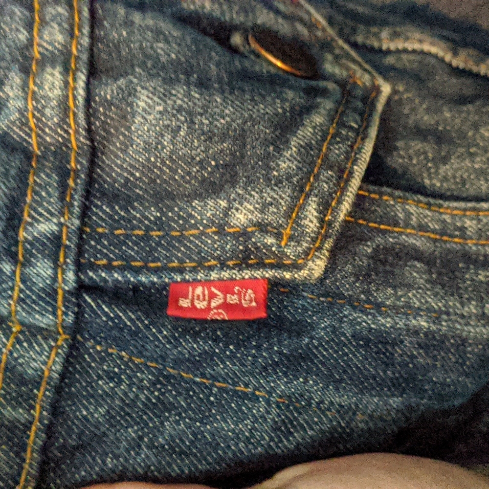 Custom Embroidered Levi's Jacket - image 4